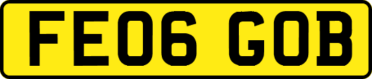FE06GOB