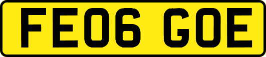 FE06GOE