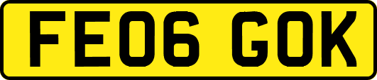 FE06GOK