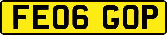 FE06GOP