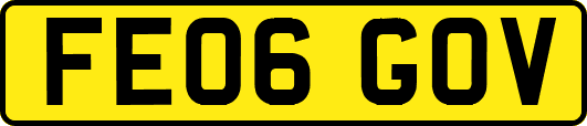FE06GOV