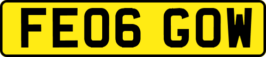 FE06GOW
