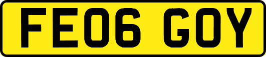 FE06GOY