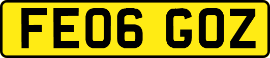 FE06GOZ