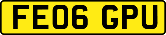 FE06GPU