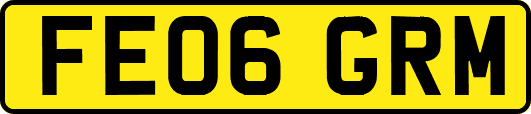 FE06GRM