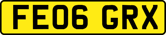 FE06GRX