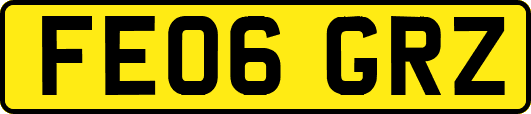 FE06GRZ