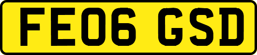 FE06GSD