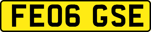 FE06GSE