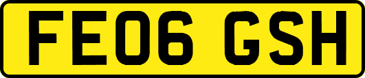 FE06GSH