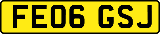 FE06GSJ