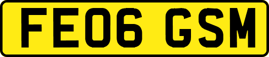 FE06GSM