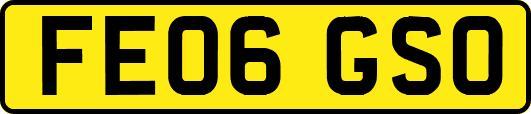 FE06GSO