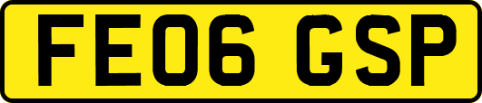 FE06GSP
