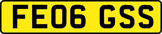 FE06GSS