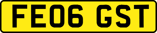 FE06GST
