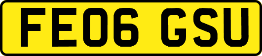 FE06GSU
