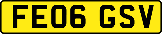 FE06GSV
