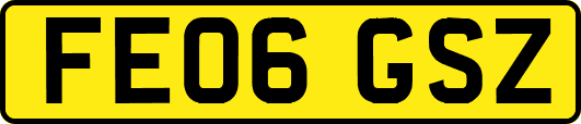 FE06GSZ
