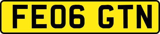 FE06GTN