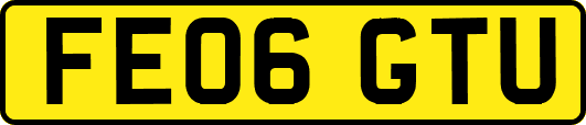 FE06GTU