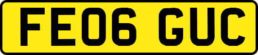 FE06GUC
