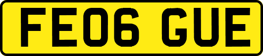 FE06GUE