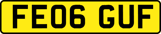 FE06GUF