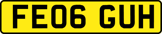 FE06GUH