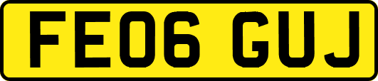 FE06GUJ