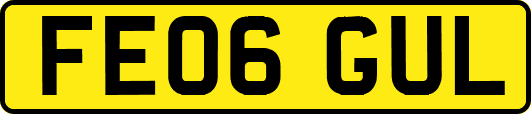 FE06GUL