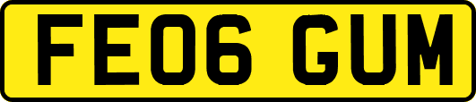 FE06GUM