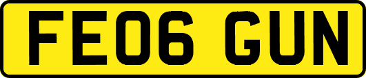 FE06GUN