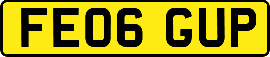 FE06GUP