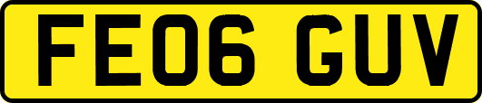 FE06GUV