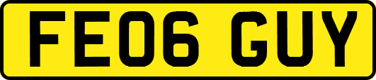 FE06GUY