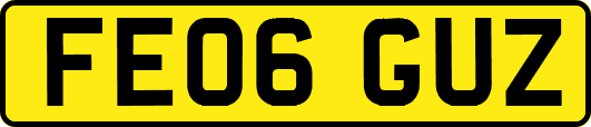 FE06GUZ