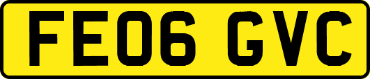 FE06GVC