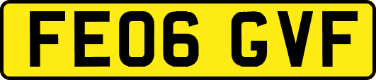 FE06GVF