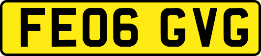 FE06GVG