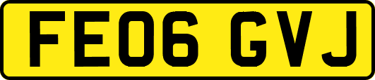 FE06GVJ