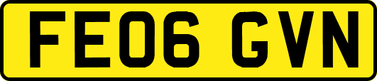FE06GVN