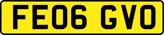 FE06GVO