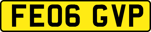 FE06GVP