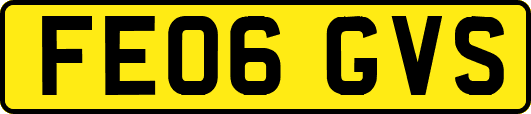 FE06GVS