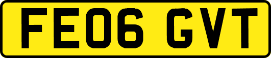 FE06GVT
