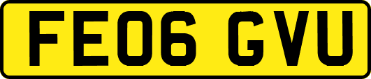 FE06GVU