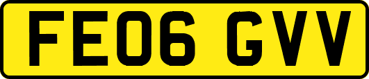 FE06GVV
