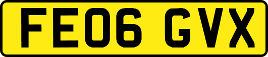 FE06GVX